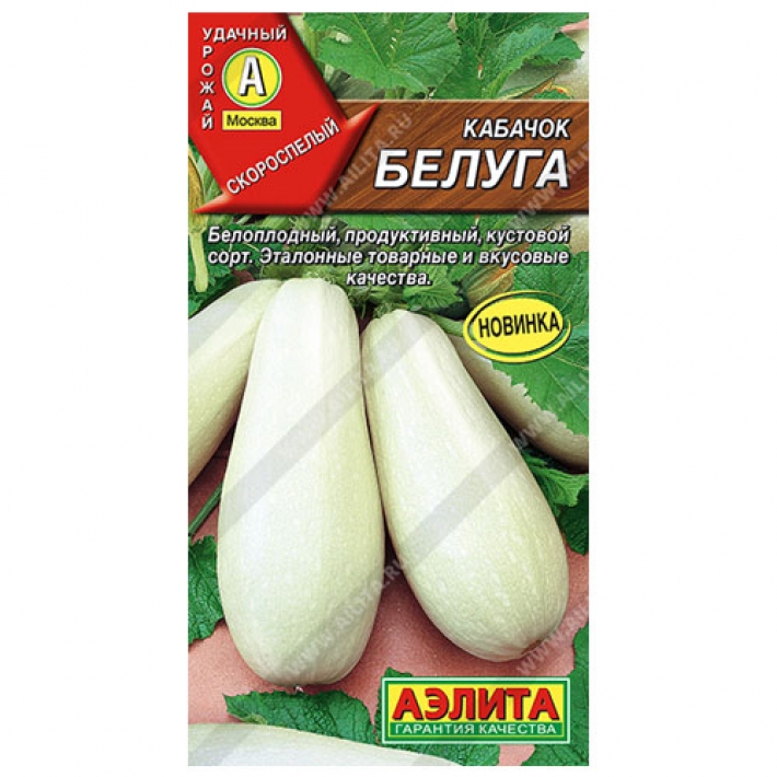 Кабачок Белуга