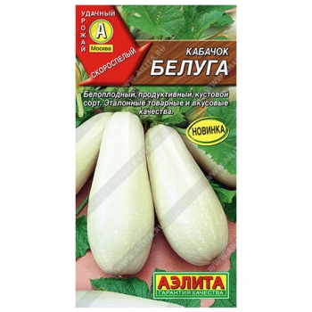 Кабачок Белуга