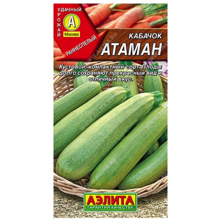 Кабачок цуккини Атаман