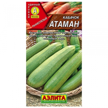Кабачок цуккини Атаман