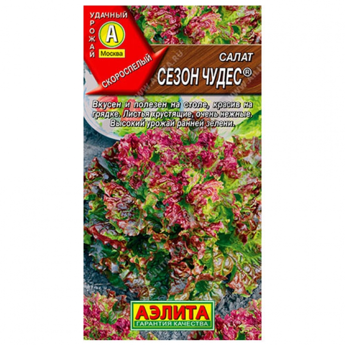Салат Сезон чудес листовой ®