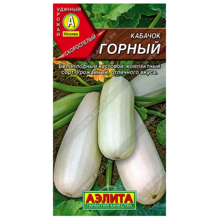Кабачок белоплодный Горный