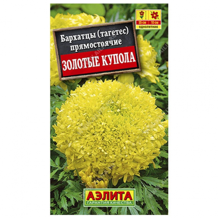 Бархатцы Золотые купола прямостоячие