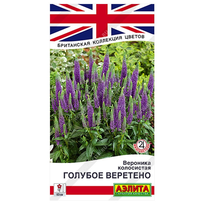 Вероника Голубое веретено