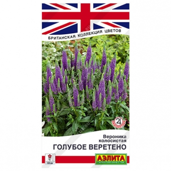 Вероника Голубое веретено