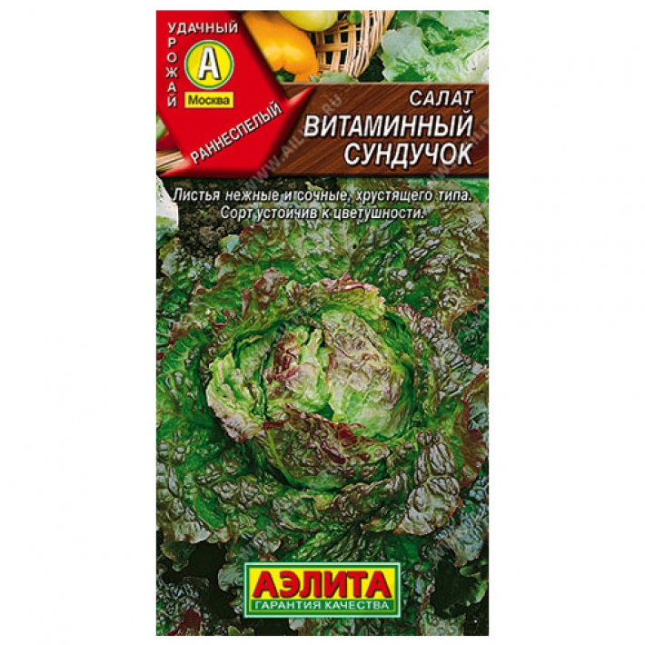 Салат Витаминный сундучок полукочанный