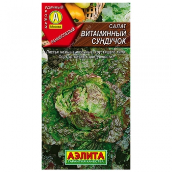 Салат Витаминный сундучок полукочанный