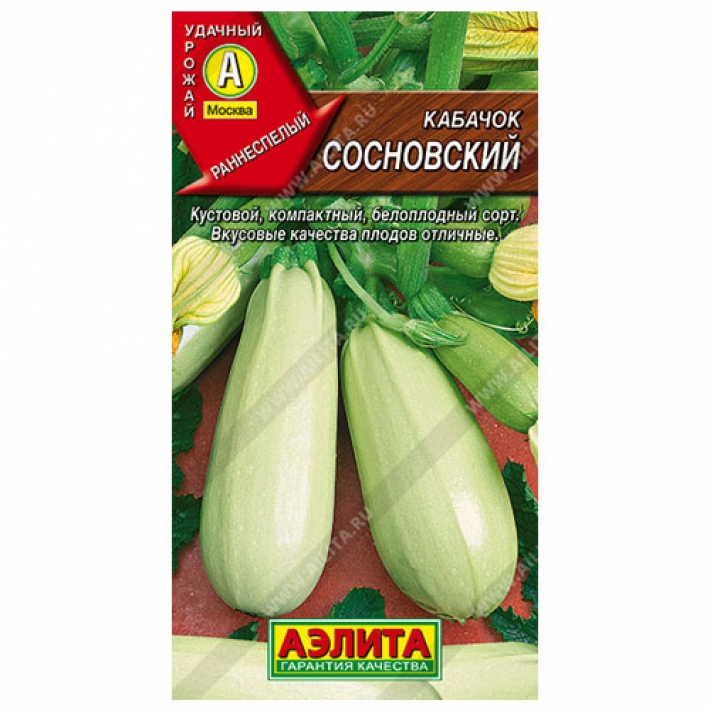 Кабачок белоплодный Сосновский