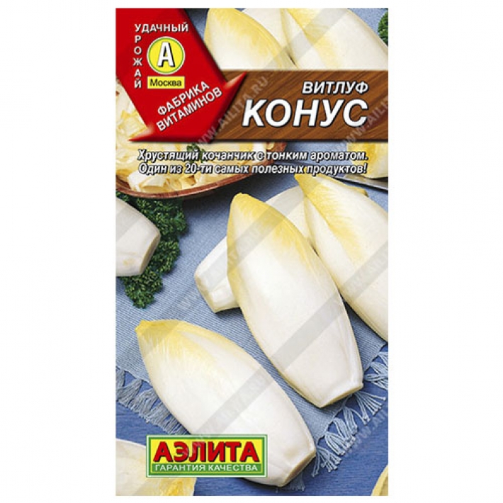 Витлуф Конус