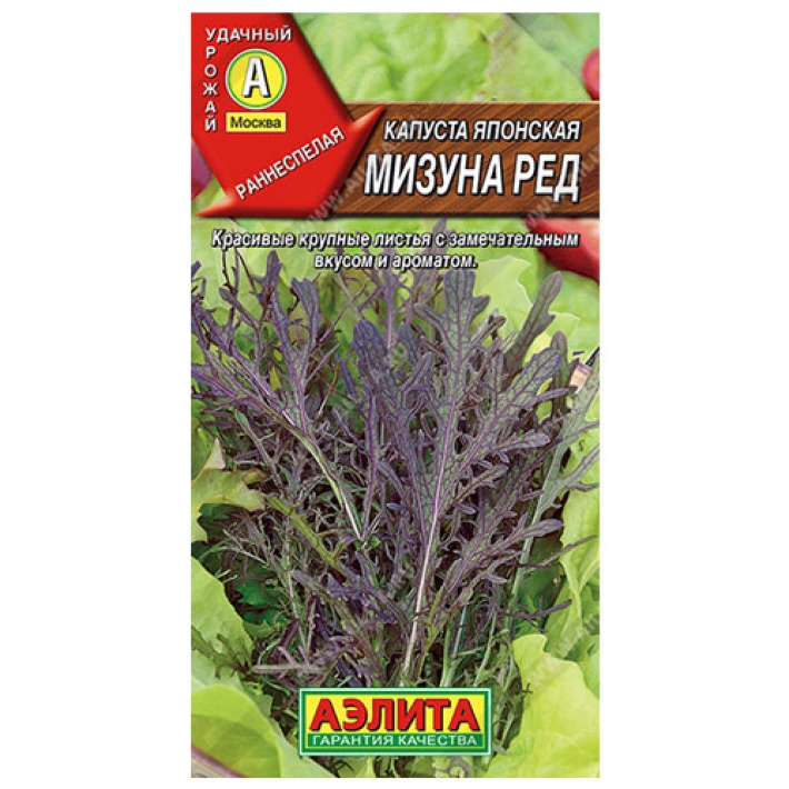 Капуста японская Мизуна ред