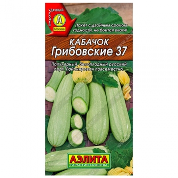 Кабачок белоплодный Грибовские 37