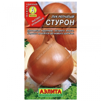 Лук репчатый Стурон