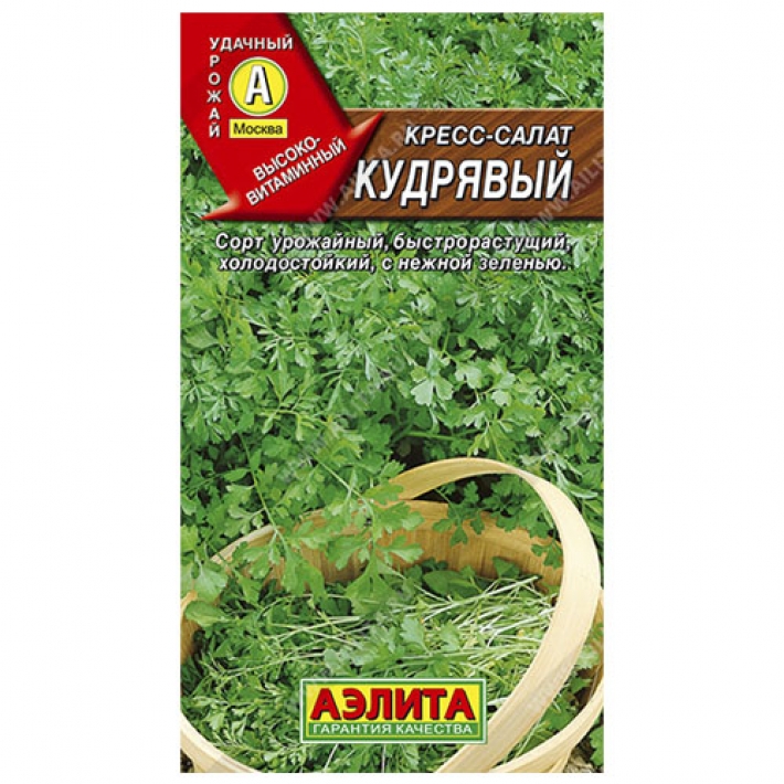 Кресс-салат Кудрявый