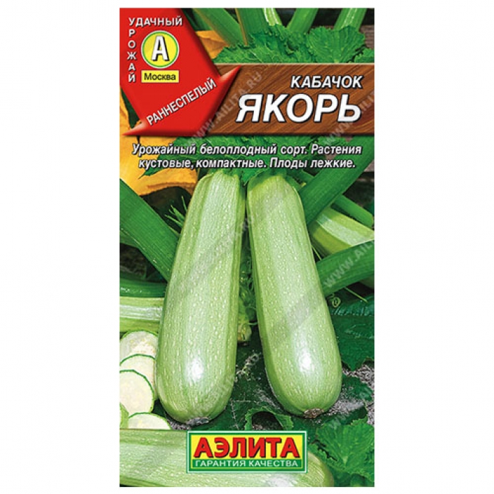 Кабачок белоплодный Якорь