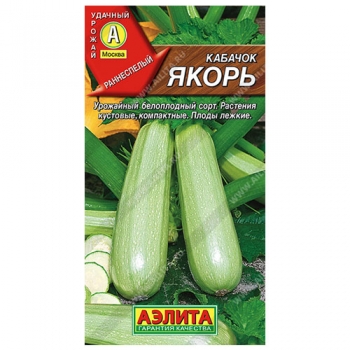 Кабачок белоплодный Якорь