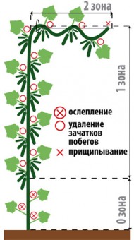 Схема формирования