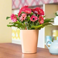 Пластиковые горшки и кашпо