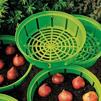 Корзины для луковичных