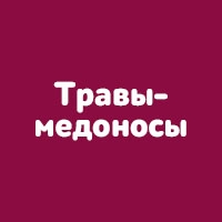 Травы-медоносы