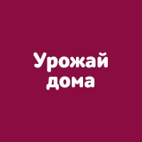 Урожай дома