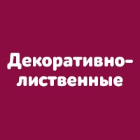 Декоративно-лиственные