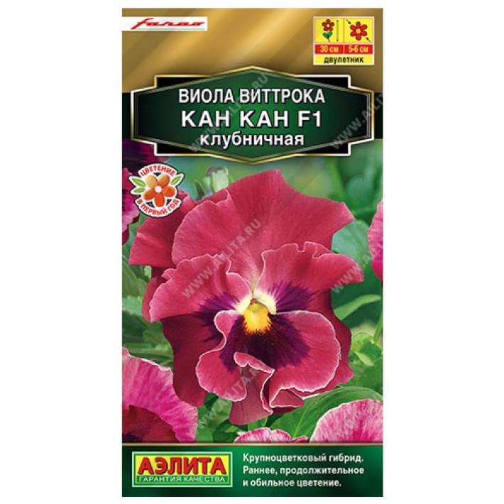 Виола Кан Кан F1 клубничная
