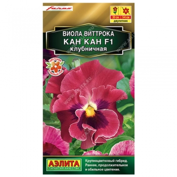 Виола Кан Кан F1 клубничная