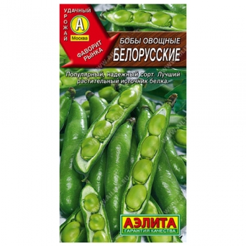 Бобы овощные Белорусские