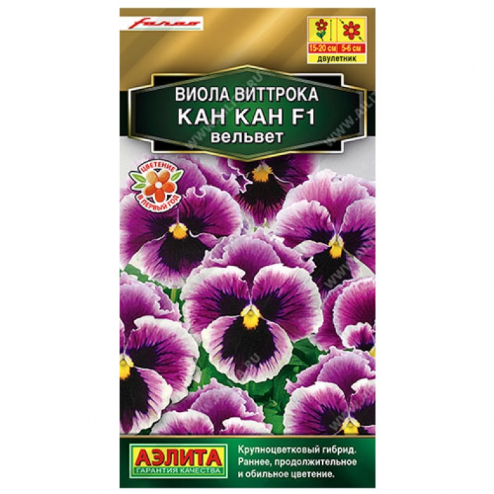 Виола Кан Кан F1 вельвет