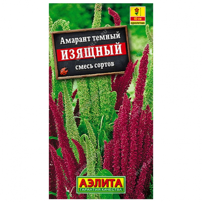 Амарант Изящный, смесь сортов