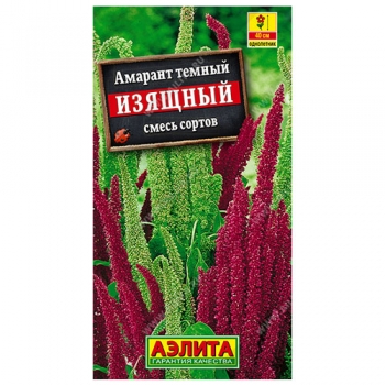 Амарант Изящный, смесь сортов
