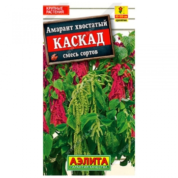 Амарант Каскад, смесь сортов