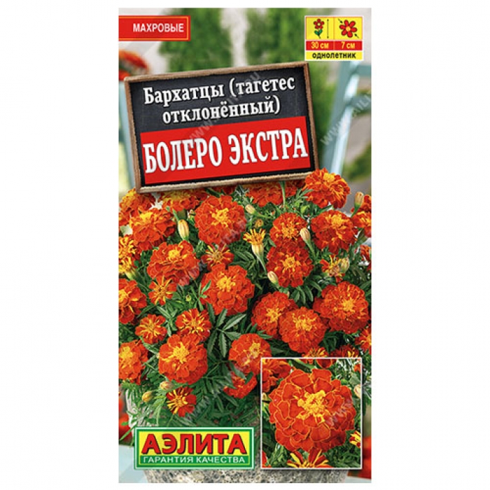 Бархатцы Болеро Экстра отклоненные