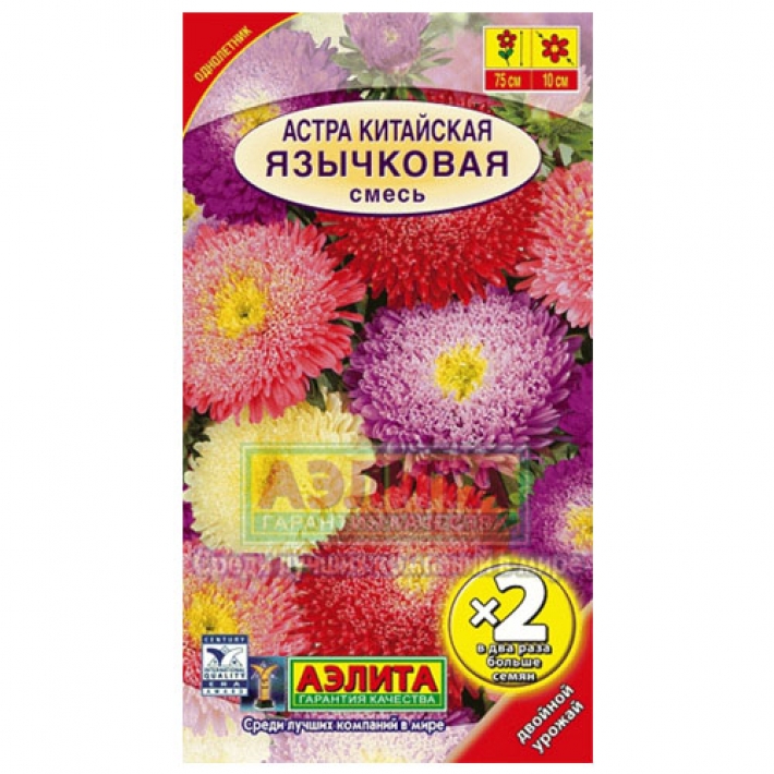 Астра китайская Язычковая, смесь окрасок