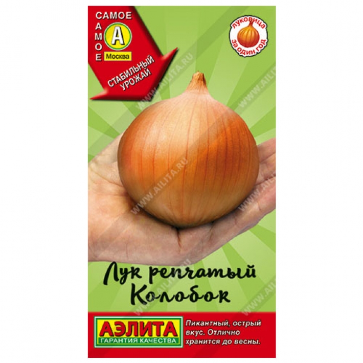 Лук репчатый Колобок