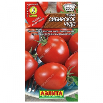 Томат Сибирское чудо
