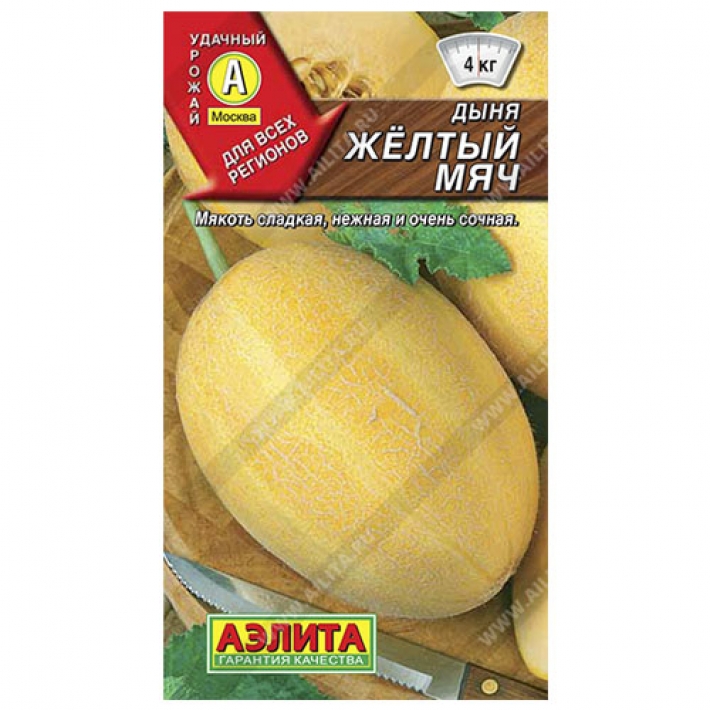 Дыня Желтый мяч