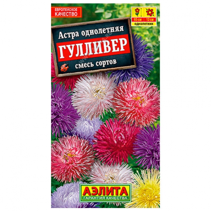 Астра Гулливер, смесь сортов