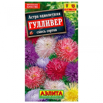 Астра Гулливер, смесь сортов