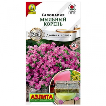 Сапонария Мыльный корень