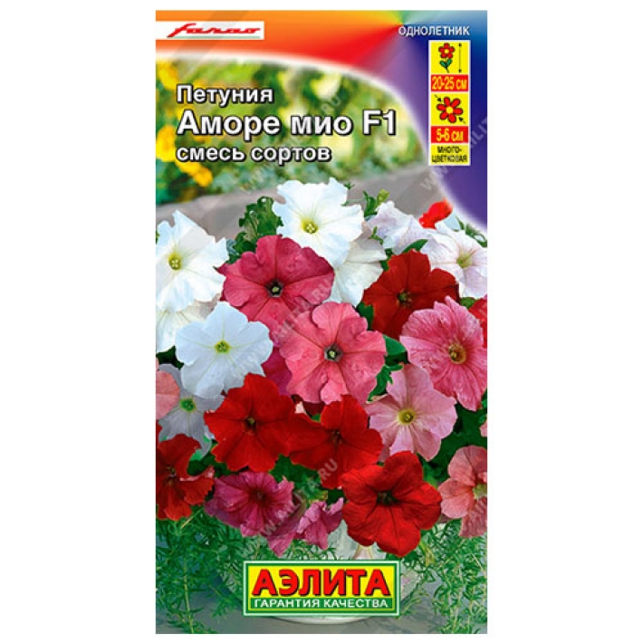 Петуния Аморе Мио F1, смесь сортов