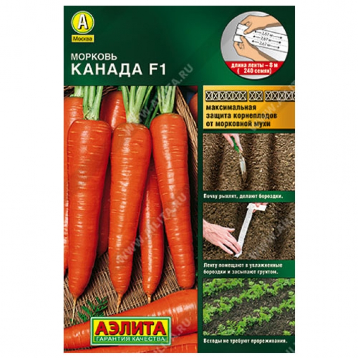 Морковь Канада F1