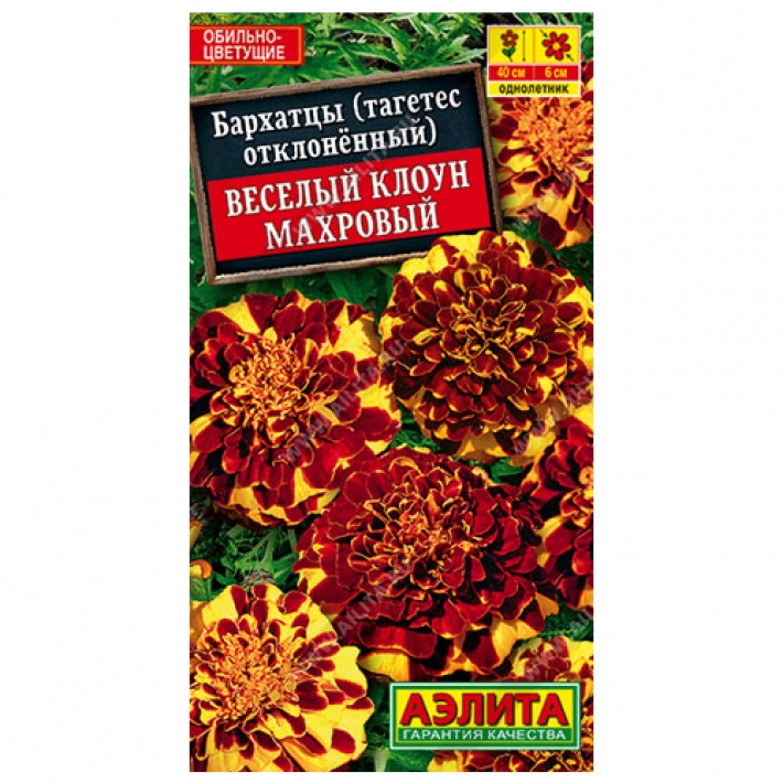 Бархатцы Веселый клоун махровые отклоненные