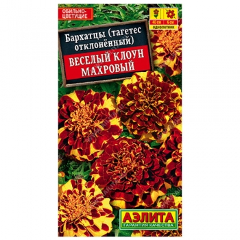 Бархатцы Веселый клоун махровые отклоненные