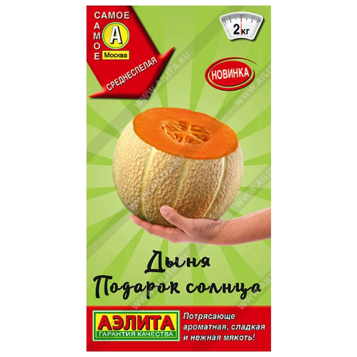 Дыня Подарок солнца