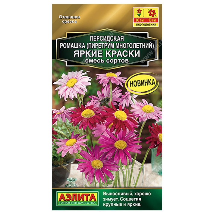Персидская ромашка Яркие краски, смесь сортов