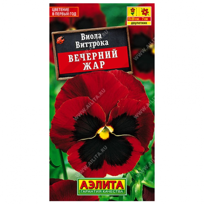 Виола Вечерний жар