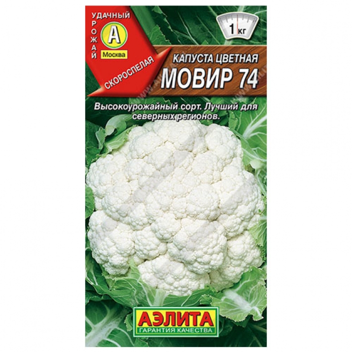 Капуста цветная Мовир 74
