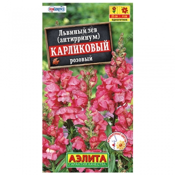 Львиный зев карликовый розовый