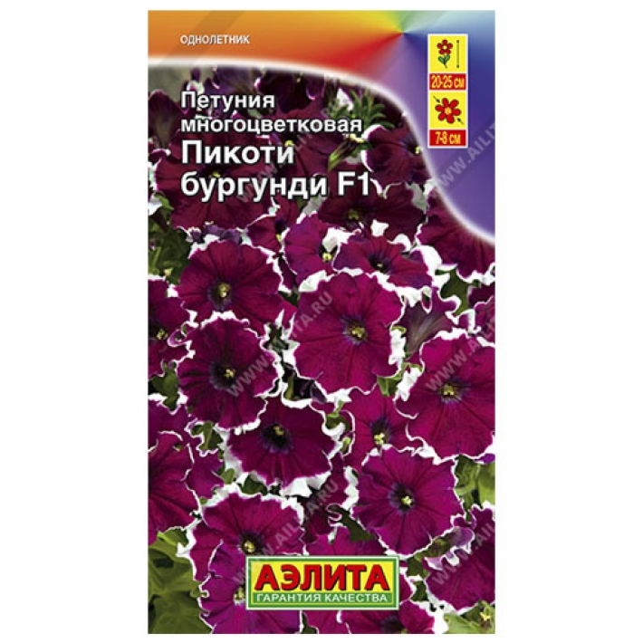 Петуния Пикоти бургунди F1 многоцветковая